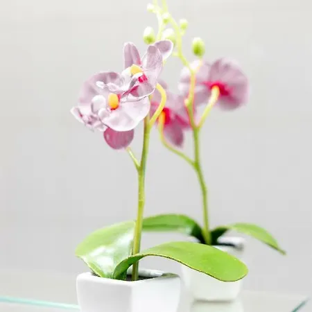 Apartamento My Place @ Duplex *